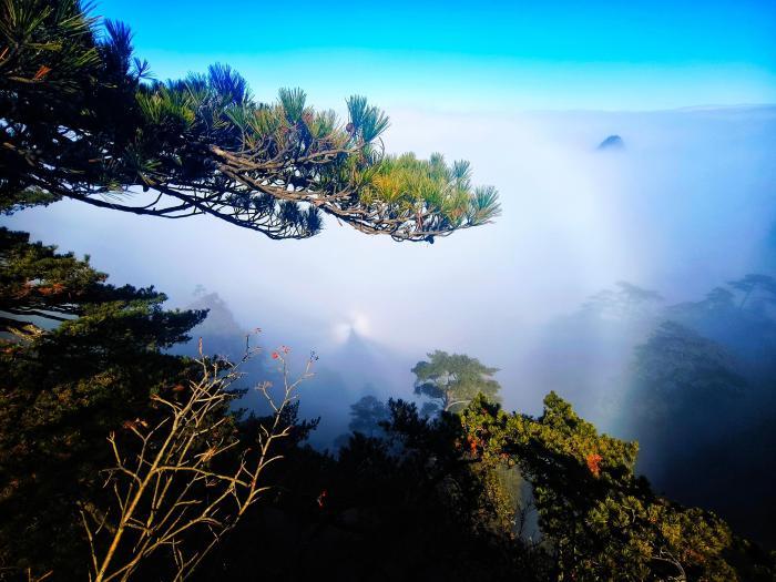 冬日黃山：云海霞光美景如畫(huà)