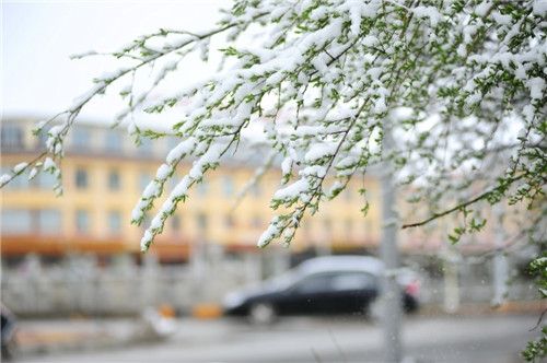 四川紅原大草原迎來初夏大雪