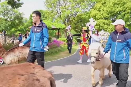 無錫動(dòng)物園：春季游園會(huì)浪漫上演