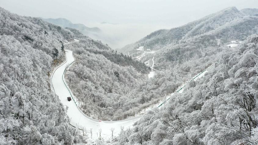 湖北?？惮F(xiàn)森林霧凇景觀 如水墨畫(huà)卷