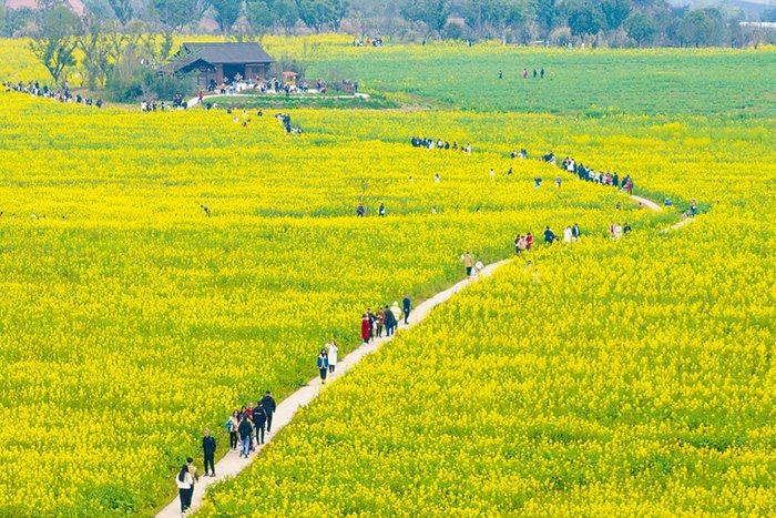 春暖花開萬(wàn)物復(fù)蘇